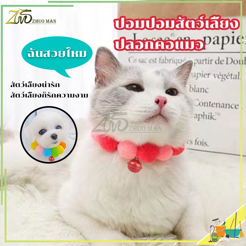 รูปภาพ 2