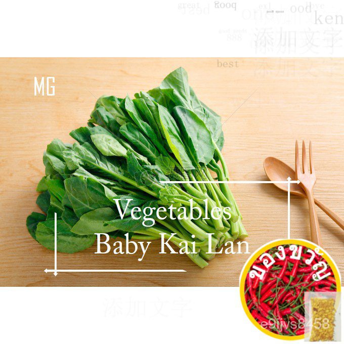 Baby Kai Lan vegetables seeds-1000 SEED (wxh) -Chinese broccoli-MANGO gardenโปโลฟา/seeds/ fragran/ga
