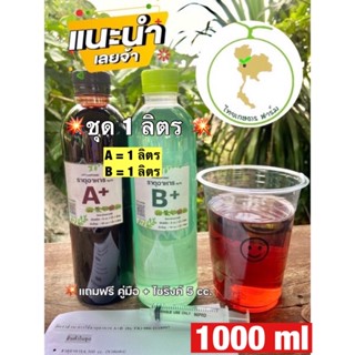 ปุ๋ยAB ปุ๋ยเอบีใหม่‼️คุ้มกว่า💥สูตรใหม่เพิ่มธาตุเหล็ก💥ชุดใหญ่ 1000 ml  💥 ปุ๋ยไฮโดรโปนิกส์ ปุ๋ยน้ำ สำหรับปลูกผักไร้ดิน