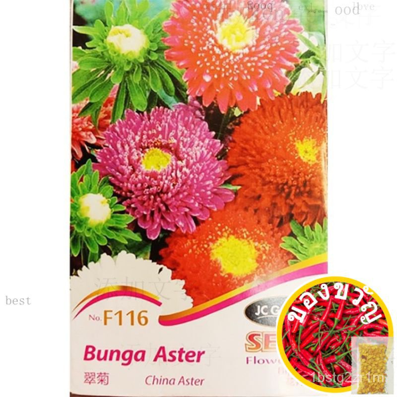 F116ยาหม่อง, Flower Master, เมล็ดพันธุ์ JC, รองเท้า/กางเกง/ เพิ่ม/เพิ่ม/เพิ่ม/หมวก/ผู้ชาย/ดอกทานตะวั