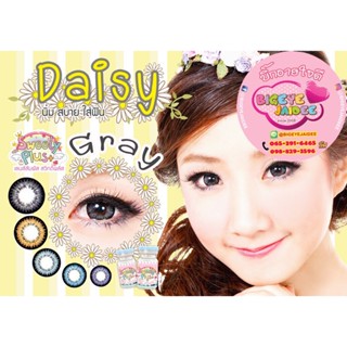 PitchyLens Daisy Eff.19 Gray ใหญ่