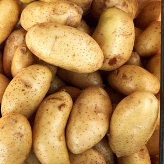 มันฝรั่งคัดคุณภาพเกรด AAA🥔🥔🥔ลูกใหญ่ๆขายถูก1kg