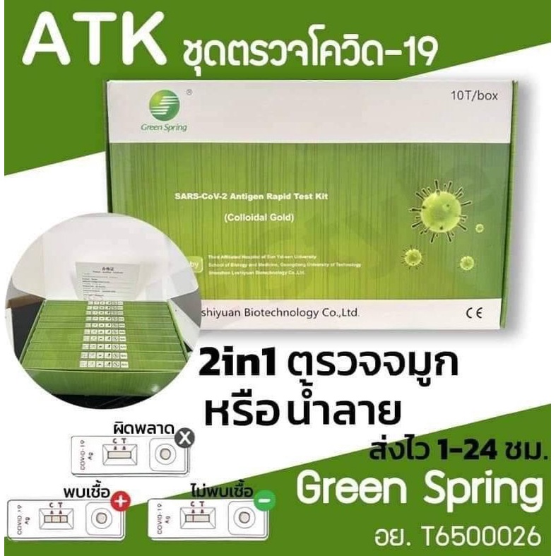 ชุดตรวจ2in1 green spring 1กล่อง10ชุด