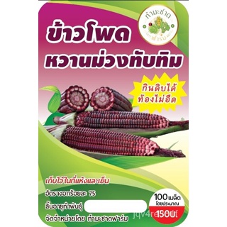 {{ส่งKerry}}[สินค้ามาแรง   ถูกที่สุด!!!]   เมล็ดพันธุ์ข้าวโพดหวานม่วงทับทิม ข้าวโพดทานดิบได้ อร่อยด้วย!!! ข้าวโพดทานสด ข