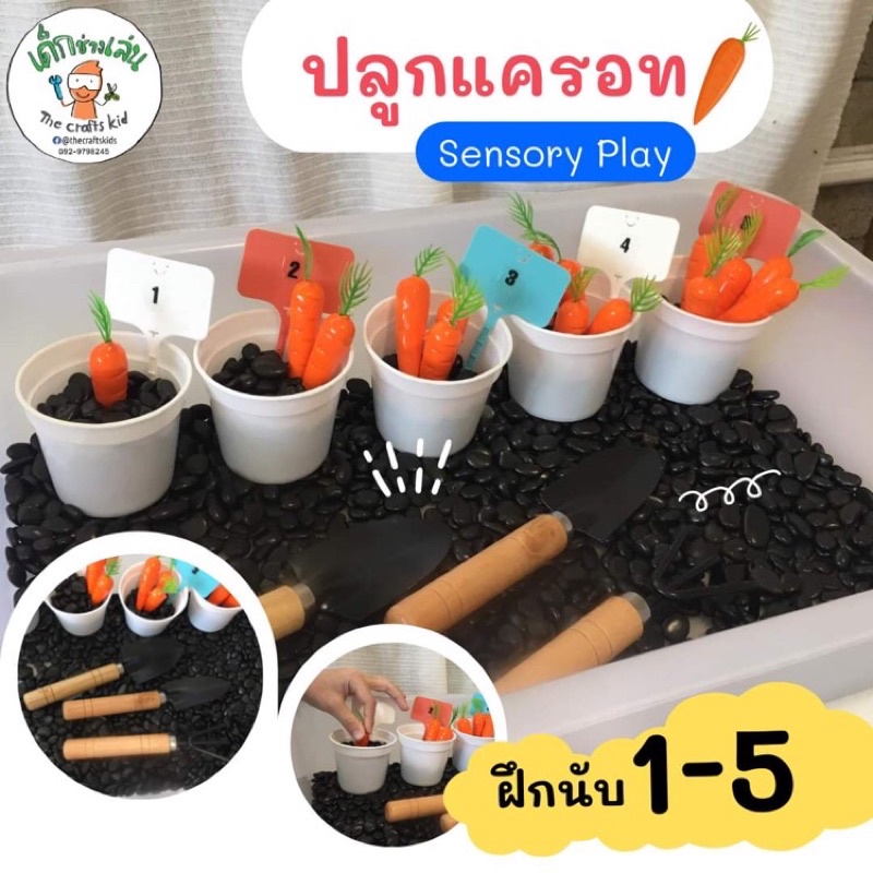 ชุดปลูกแครอทฝึกนับ 1-5 กิจกรรม sensory activity sensory play Montessori maths ของเล่น2ขวบ 3ขวบ เตรียมอนุบาล