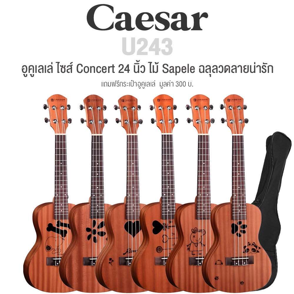 Caesar U243 Concert Ukulele อูคูเลเล่ ไซส์ Concert 24 นิ้ว ไม้ Sapele ฉลุลวดลายน่ารัก เคลือบด้าน + แ