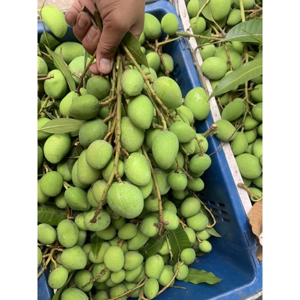 รูปภาพ 6