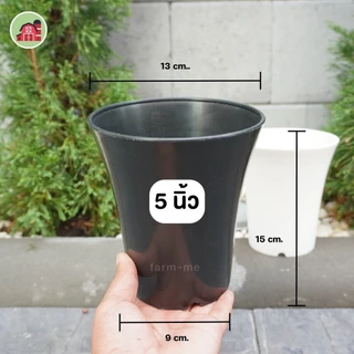 กระถางทรงปากแตร 3-5นิ้ว ขายปลีก กระถางแคตตัส