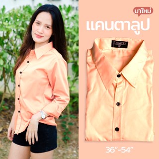 takayay brand เสื้อเชิ้ตสีแคนตาลูป36-50 นิ้ว