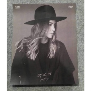 โปสเตอร์วงดนตรีติดผนัง ปาล์มมี่