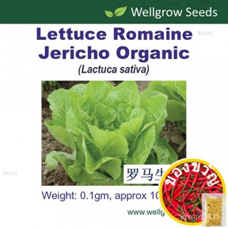 Romaine lettuce Jericho Organic seeds (100 SDS) perucress hallgrow thight/chari/เม็ด/ CHGE