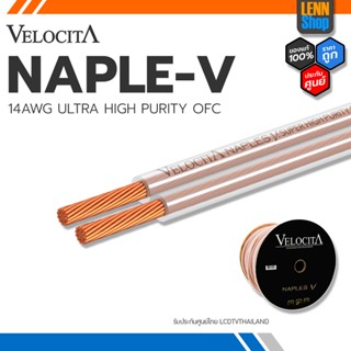 VELOCITA : NAPLES V / Ultra High Purity OFC [ออกใบกำกับภาษีได้] มั่นใจของแท้ 100% / LENNSHOP