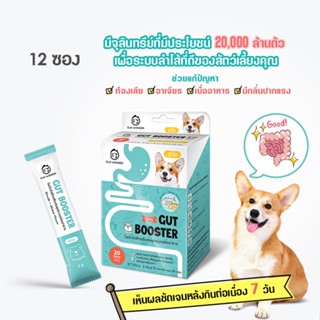 SUN WONDER GUT BOOSTER อาหารเสริมโพรไบโอติกเสริมสมดุลระบบย่อยอาหาร สูตรสำหรับสุนัข