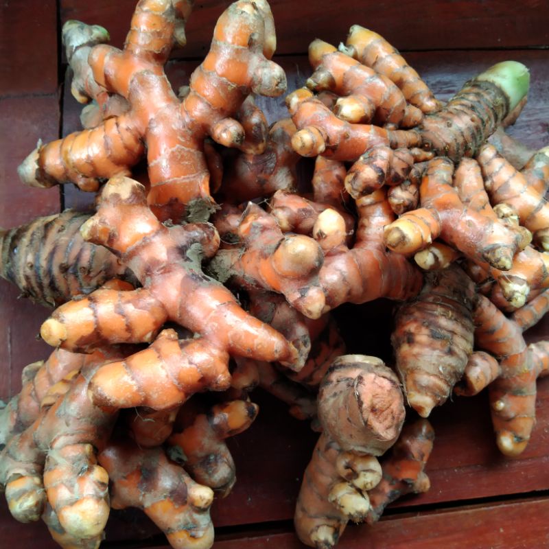 ขมิ้นสด ขุดสดใหม่ เกษตรอินทรีย์ ครึ่งก.ก สดจากไร่ ช่วยเกษตรกร
