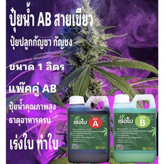 ปุ๋ยน้ำAB ขนาด 1+1 ลิตร กัญชากัญชง 420 ทำใบ เร่งใบ  Hydro / coco