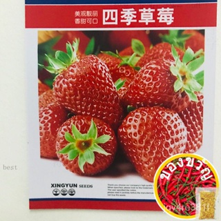 Seeds bua seeds strawberry Four Seasons Grass SEED movi/รองเท้า/ผู้ชาย/กางเกง IOKZ