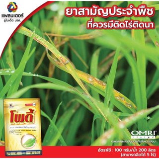 คิวปรัสออกไซด์ ขนาด 100 กรัม แคงเกอร์  โพดี้ กำจัดเชื้อรา แก้ขอบใบแห้ง โรคใบส้ม แบคทีเรียในพืช โรคใบไหม้