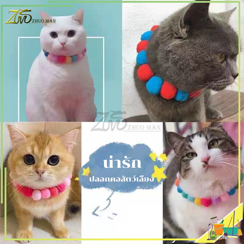 รูปภาพ 6