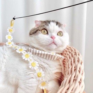 รีฟิวสำหรับไม้ตกแมว  Camellia flower fishing rod cat string toy kasha kasha refill