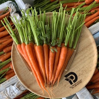 FillFresh • เบบี้แครอท｜Baby Carrot เล็ก/ใหญ่ พร้อมส่ง สดใหม่ พร้อมทาน