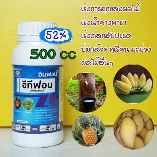 อีทีฟอน52% 500cc ยาบ่มกล้วย บ่มมะม่วง ทุเรียน ยาสับปะรด ผลไม้เร่งการสุก เร่งการออกดอก ป้ายขั้วทุเรียน