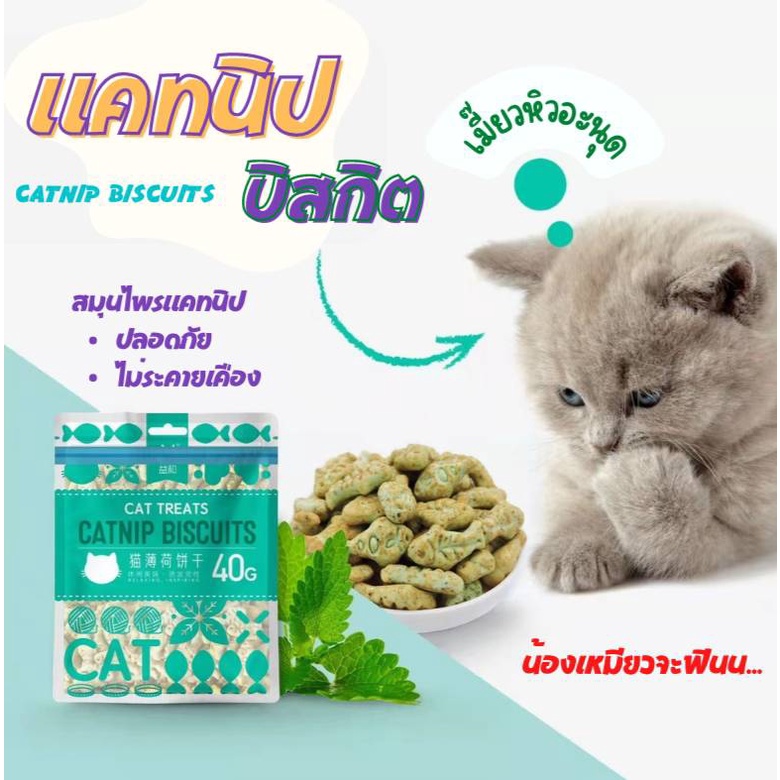 คุกกี้แคทนิปกัญชาแมว40กรัม