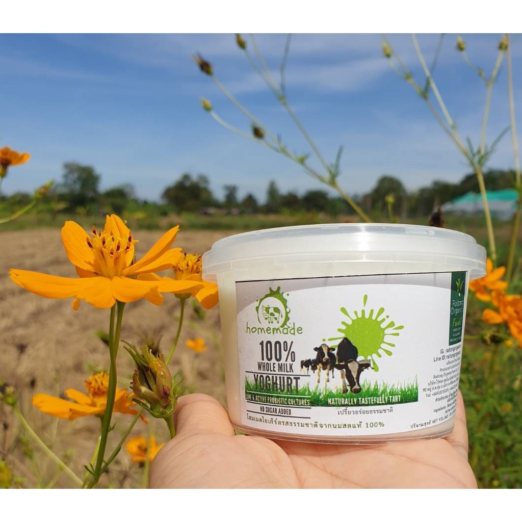 Natural yoghurt 100% milk, 0% added sugar (2 x 180g cups)