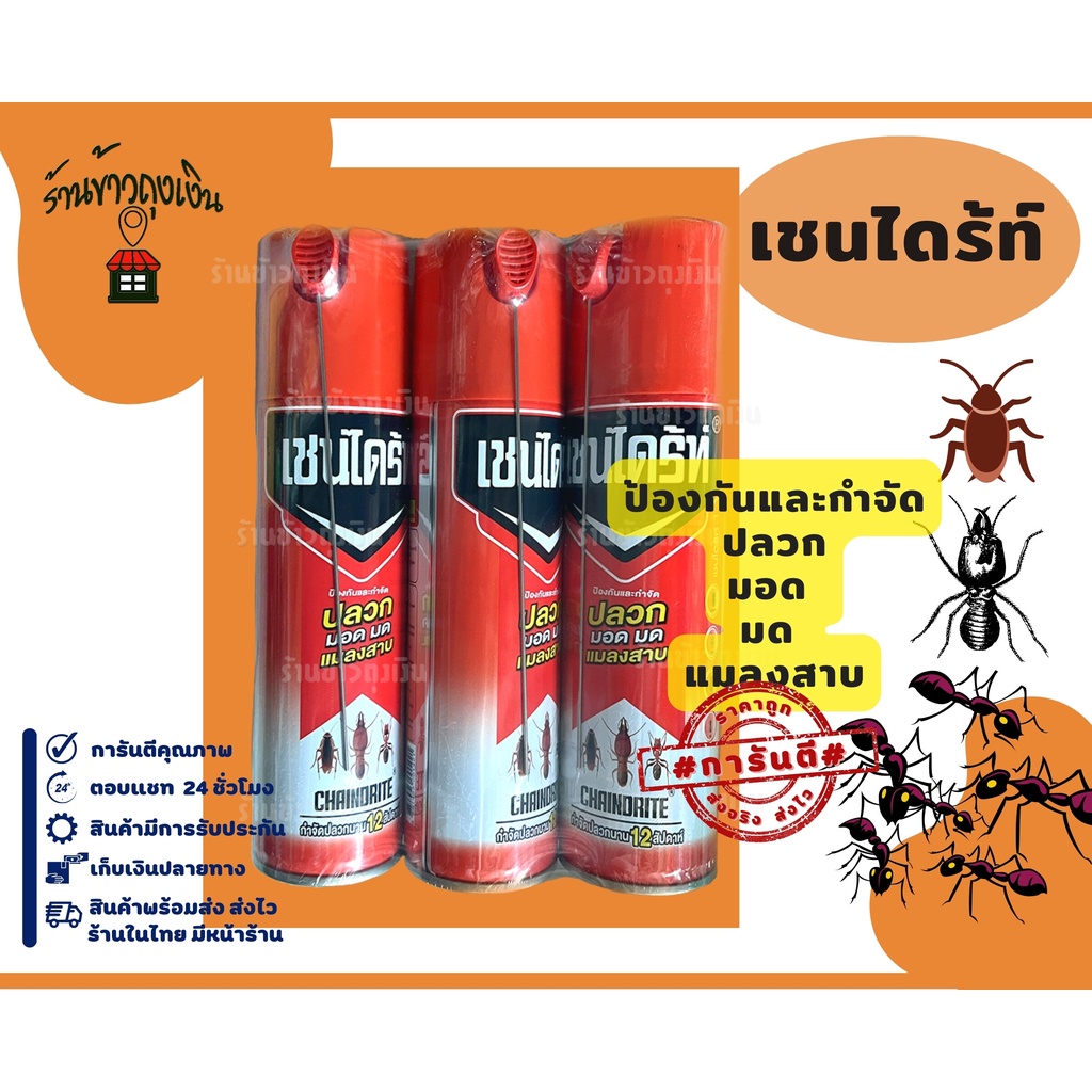 เชนไดร้ท์ 1 Chaindrite (600/300 ม.ล.)สเปรย์สูตรประสิทธิภาพกำจัดปลวก มอด มด แมลงสาบ