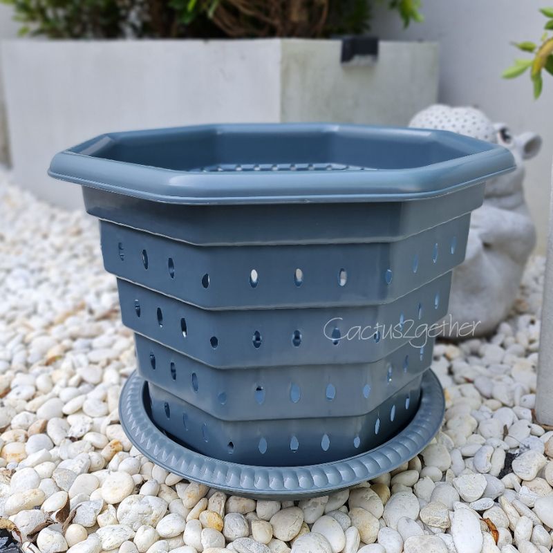 กระถางเร่งรากSuperหนา‼️หนา รูเยอะ ระบายน้ำดี เร่งรากโตไวขนาด10