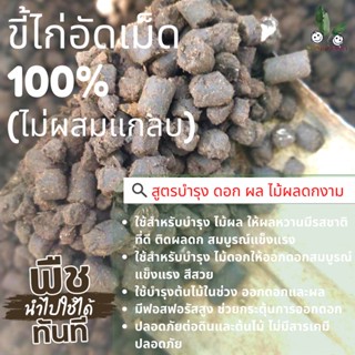 ขี้ไก่อัดเม็ด 100% (ไม่ผสมแกลบ) มูลขี้ไก่อัดเม็ด สูตรบำรุง ดอก ผล ไม้ดอก ไม้ผล ดก าม สูตรบำรุง อัดเม็ดพร้อมส่ง (pack3kg)