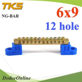 .บัสบาร์ บาร์รวมสาย กราวด์ นิวตรอน ขนาด 6x9 มม. พร้อมขายึด 12 ช่อง รุ่น Busbar-6x9-12H DD