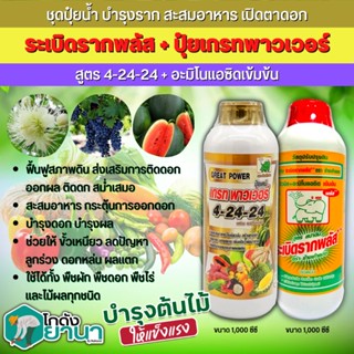 🌾 ชุดปุ๋ยน้ำ ระเบิดรากพลัส+เกรทพาวเวอร์ (สูตร4-24-24+อะมิโนแอดซิดเข้มข้น) ขนาด 1ลิตรx2ขวด บำรุงราก สะสมอาหาร เปิดตาดอก