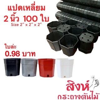 กระถางแปดเหลี่ยม 2 นิ้ว 100 ใบ สีดำ สีขาว สีอิฐ สีเทา