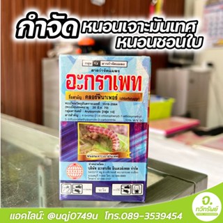 สารคลอร์ฟีนาเพอร์ 10% เน้น!ป้องกันและกำจัดหนอนชอบใบ หนอนเจาะมันเทศ