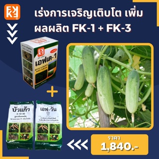 ปุ๋ยน้ำ เร่งการเจริญเติบโต เพิ่มผลผลิต แตงกวา ประสิทธิภาพสูง FK-1 เร่งโต FK-3 ขยายขนาดผล สำหรับพืชออกผลทุกชนิด โดย FK