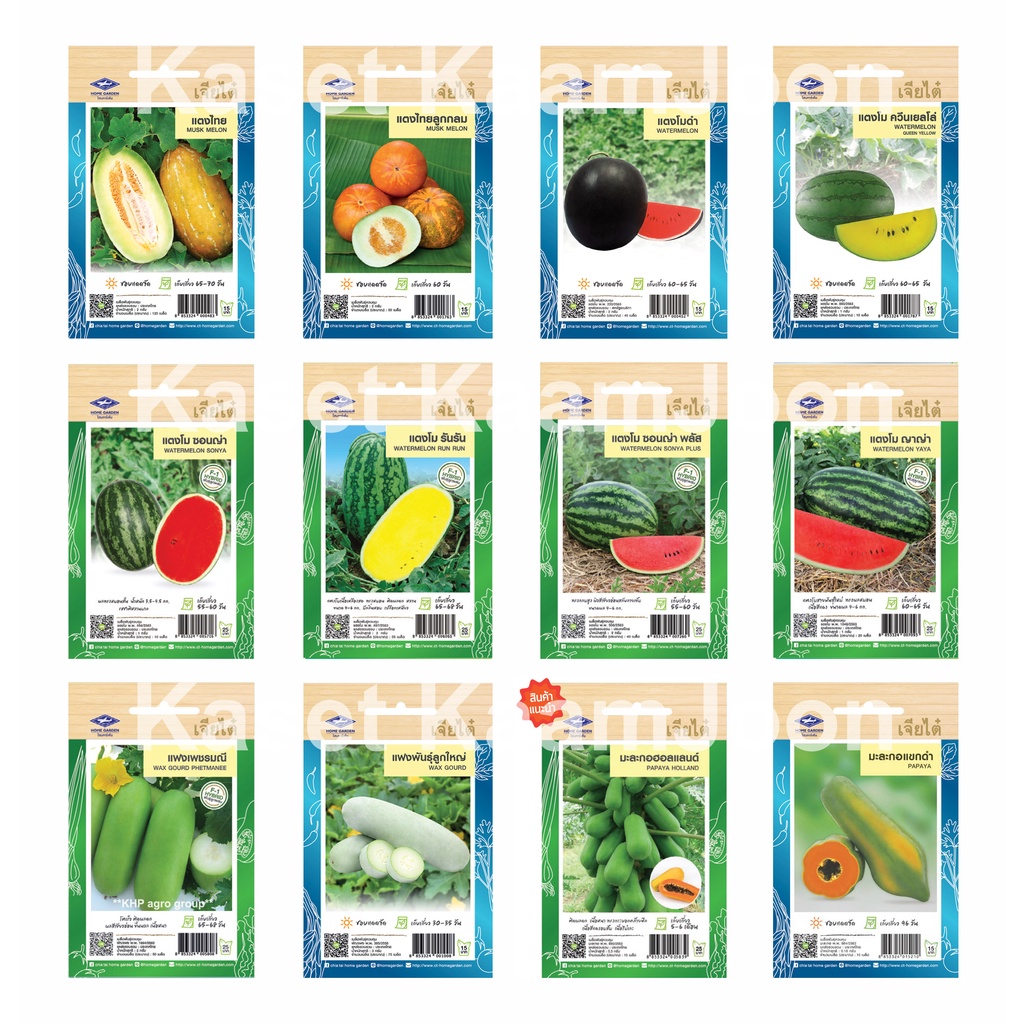 เมล็ดพันธุ์ ผักผล ชุดที่ 1 เจียไต๋ (ซอง) ตราเครื่องบิน แตงโม แตงโมเหลือง แตงไทย มะละกอ มันแกว ฟัก แฟง เมล่อน ฯ