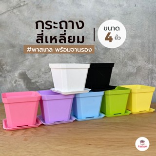 กระถางสี่เหลี่ยม 4 นิ้ว #พาสเทล พร้อมจานรอง ( 10 x 7 x 8.5 ซม. ) กระถางแคคตัส กระถางกระบองเพชร กระถางพลาสติก