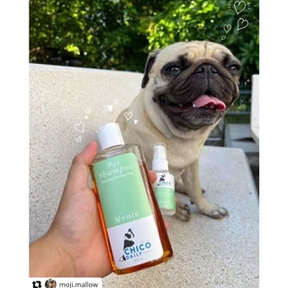 Chico daily แชมพูสัตว์เลี้ยง Organic แชมพูสำหรับสุนัขและแมว ลดขนร่วง ลดกลิ่นตัว ขนนุ่มไม่พันกัน