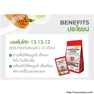🌺 ปุ๋ยออสโมโค้ท ปุ๋ย 13-13-13 🐜สตาร์เกิลจี กันแมลง ศัสตรูพืช ขนาดถุงใหญ่ 1 กิโลกรัม