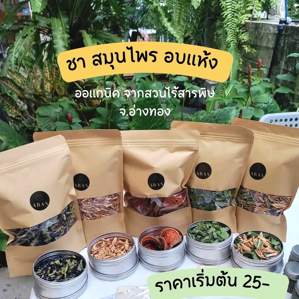 #สมุนไพร #ชาสมุนไพร #ชาสมุนไพรสดใหม่ #สมุนไพรไร้สารพิษ #สมุนไพรจากสวนคุณยาย