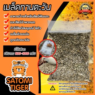 เมล็ดทานตะวันสำหรับสัตว์ มีให้เลือก ปริมาณ 500-1000 กรัม : ของกินเล่นสัตว์ฟันแถะ และนก อาหารเสริม อาหารว่างหนูแฮมเตอร์