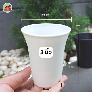 กระถางทรงปากแตร 3-5นิ้ว ขายปลีก กระถางแคตตัส