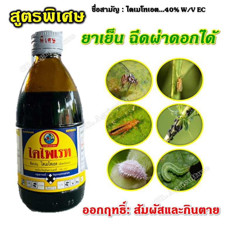 ไล่หนู ไดไพเรท **สูตรเย็นพิเศษ ฝาเหลือง**  ไดเมโทเอต (กลิ่นแรง) ไล่หนู ไร่นก ได้ สารกําจัดแมลง หนอน เพลี้ย ด้วง บั่ว