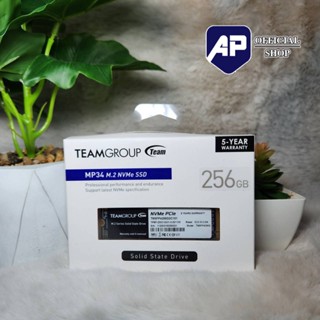 TEAMGROUP MP34 256GB NVMe PCIe M.2 2280 Solid State Drive SSD, Read/Write Speed up to 2,700/850 MB/s ของใหม่