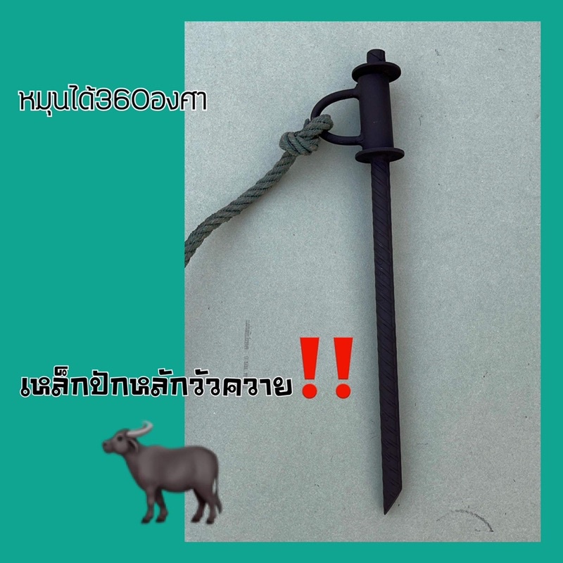 เหล็ก หลักปักควายวัว มีหลายขนาดให้เลือก หมุนรอบทิศ❌พร้อมส่งมาก‼️‼️