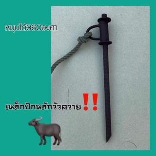 เหล็ก หลักปักควายวัว มีหลายขนาดให้เลือก หมุนรอบทิศ❌พร้อมส่งมาก‼️‼️