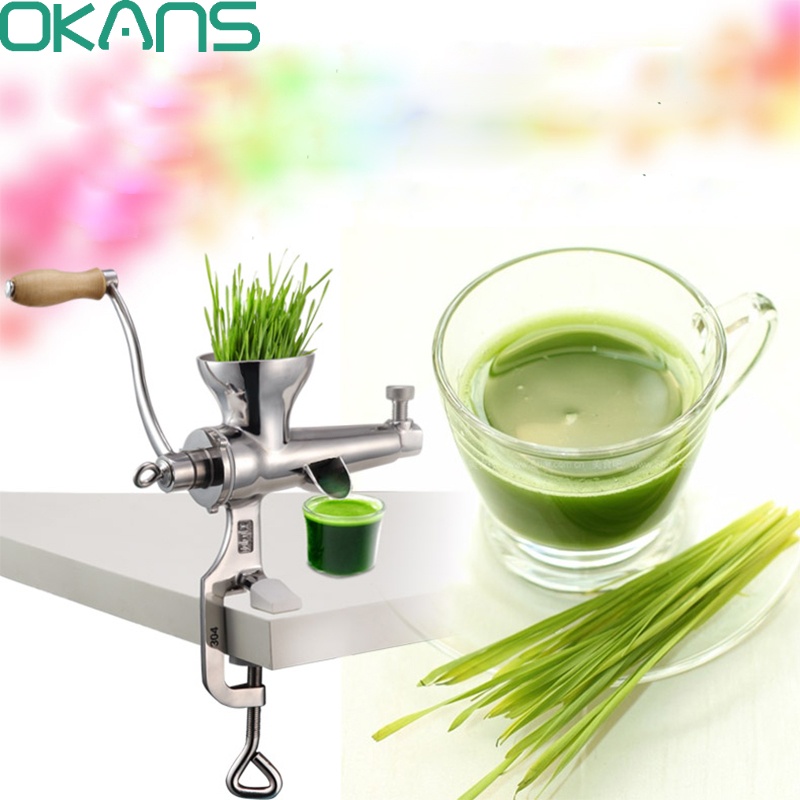 Hand Stainless Steel Wheatgrass Juicer Manual Auger Slow Squeezer Fruit