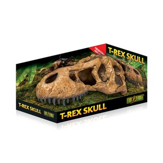 Exo Terra T-Rex Skull