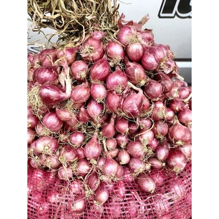 หอมแดงศรีสะเกษ สดใหม่ แห้งดี