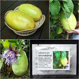 เมล็ดพันธุ์ เสาวรสยักษ์ แตงสา สุคนธรส 15 เมล็ด Giant Passion Fruit Seed, Giant Granadilla ของแท้ 100%